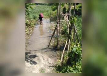 সোনারগাঁ গোপেরবাগ পশ্চিমপাড়া হতে সনমান্দি আমিন মার্কেট সংযোগ সড়কের বেহাল দশা!