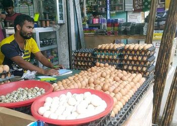 ‘সিন্ডিকেটের থাবায়’ আবারো রেকর্ড দামে ডিম