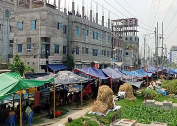সিদ্ধিরগঞ্জে ইজারার শর্ত ভঙ্গ করে ডিএনডি লেক ও রাস্তায় পশুর হাট
