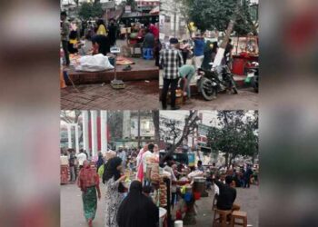 চাষাড়া শহীদ মিনার নাকি মিনি হাটবাজার ?