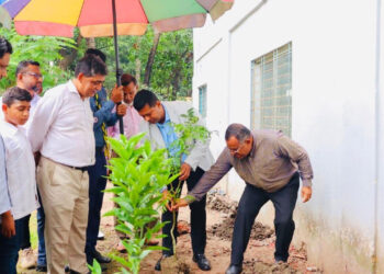 নারায়ণগঞ্জ কলেজে ছাদ বাগানের উদ্বোধন করলেন জেলা প্রশাসক