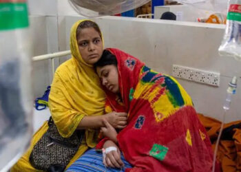 কিভাবে বুঝবেন ডেঙ্গু নাকি চিকুনগুনিয়া হয়েছে?