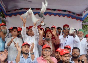 একমঞ্চে বিএনপির নেতৃবৃন্দরা, ঐক্যের সুর