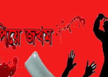 সোনারগাঁয়ে জামিনে মুক্তি পেয়ে বাদিকে কুপিয়ে জখম
