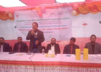 আমতলীতে কৃষকদের সক্ষমতা বৃদ্ধিতে দিন ব্যাপী প্রশিক্ষন