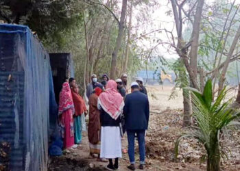 সিদ্ধিরগঞ্জে অস্ত্রের মুখে জিম্মি করে খামার থেকে গরু লুট