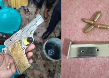 আড়াইহাজারে ছিনতাইয়ের অভিযোগে গণপিটুনিতে আহত ২, পিস্তল ও গুলি উদ্ধার