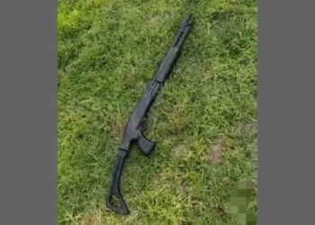 আড়াইহাজারে কচুরিপানা থেকে শটগান উদ্ধার