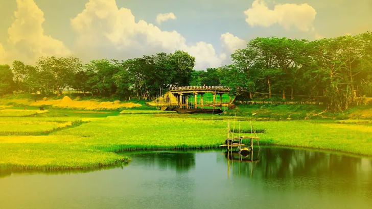 সৎ ও মেধাবীরাই বঙ্গবন্ধুর সোনার বাংলা বাস্তবায়ন করছে দুদক কমিশনার: ড. মোঃ মোজাম্মেল হক খান