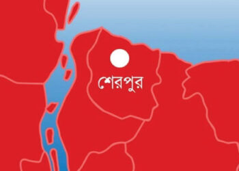 শেরপুরের শ্রীবরদীতে হাজতে গিয়েও বেতন ভাতা উত্তোলন করছেন অফিস সহকারী মিন্টু