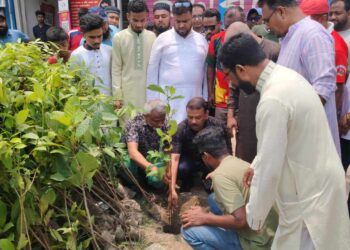 কুতুবপুরে প্রগতি ছাত্র ও যুব সংসদের উদ্যোগে বৃক্ষরোপন কর্মসুচি