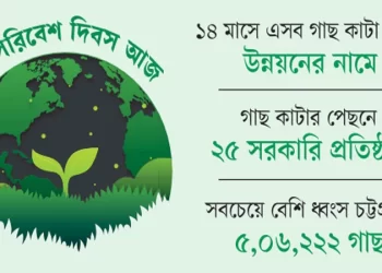 সরকারি সংস্থার কোপে সাড়ে ১১ লাখ গাছ ‘হত্যা’
