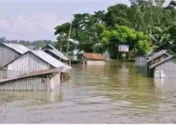 শেরপুরের মহারশি নদী এখন মরণ ফাঁদ!
