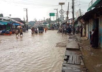 শেরপুরে পাহাড়ী ঢলে বাঁধ ভেঙ্গে ৩০ গ্রাম পানিবন্দি 