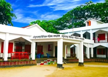 ভাগ্যে কী আছে ইউপি চেয়ারম্যানদের ?