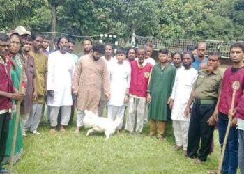 বকশীগঞ্জ সীমান্তে ২১ বাংলাদেশি আটক