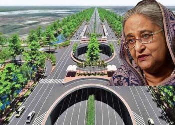 অসহায়-নিঃস্ব বলে বক্তব্য দিলেও নিজ পরিবারে ৬ প্লট নেন শেখ হাসিনা