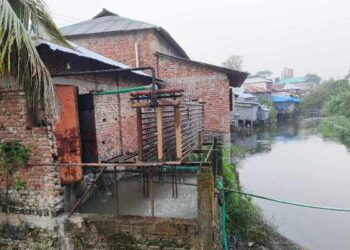 দখলে দুষনে মরছে আমতলীর বাসুগী খাল