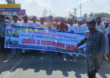আমতলীতে বিএনপির জাতীয় বিপ্লব ও সংহতি দিবস পালিত