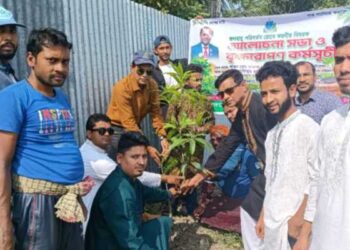 বরগুনায় স্বপ্নযাত্রী একতা ফাউন্ডেশন এর উদ্যােগে বৃক্ষরোপন কর্মসূচি পালন