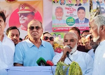 সোনারগাঁয়ে জাতীয় বিপ্লব ও সংহতি দিবস উপলক্ষ্যে আলোচনা সভা ও র‍্যালী 