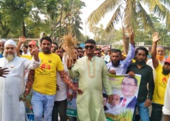 তারেক রহমানের বিরুদ্ধে মিথ্যা মামলা প্রত্যাহারের দাবিতে সোনারগাঁয়ে প্রতিবাদ সভা 