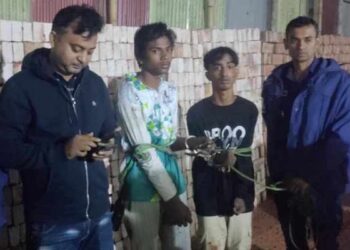 ফতুল্লায় গাজাঁ সেবনকালে তর্কের জেরে ছুরিকাঘাতে হত্যা,আটক ২
