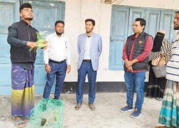 আমতলিতে বিক্রি কালে প্রশাসনের হস্তক্ষেপে টিয়াপাখী ও সাপ অবমুক্ত