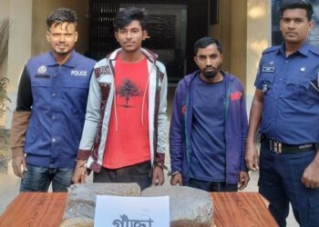 সোনারগাঁয়ে গাঁজাসহ আটক ২ 