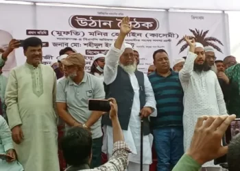 অন্তর্বর্তীকালীন সরকারে কিছু দুষ্টু চক্র ঘাপটি মেরে বসে আছে-কাসেমী