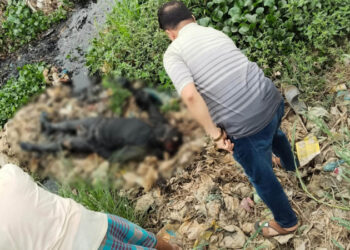 সিদ্ধিরগঞ্জে ক্যানেল থেকে অজ্ঞাত ব্যক্তির অর্ধগলিত মরদেহ উদ্ধার