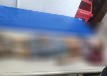 চর সৈয়দপুরে ইজি বাইকের ধাক্কায় শিশুর মৃত্যু