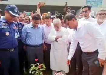 সোনারগাঁয়ের কাঁচপুরে বৃক্ষরোপণ উদ্বোধন করলেন এমপি মান্নান