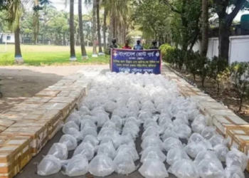 সোনারগাঁয়ে কোস্ট গার্ডের অভিযান, ৪৭ লাখ চিংড়ি রেণু উদ্ধার