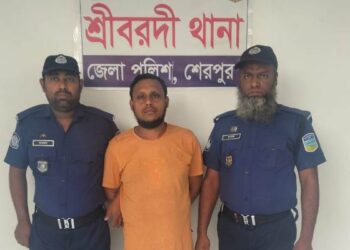 শেরপুরের শ্রীবরদীতে ইয়াবাসহ মাদক ব্যবসায়ী আটক 