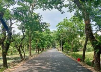 আমতলিতে জরাজীর্ণ সড়কের নির্মাণকাজ শেষ হওয়ায় মানুষের স্বস্তি