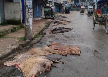 আমতলীতে চামড়া পচার দুর্গন্ধে নাকাল পৌর শহর,