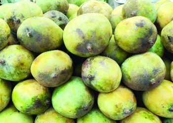 বিষমাখা আম-লিচুতে সয়লাব বাজার