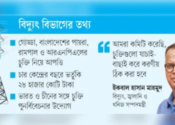 ভারত ও চীনের চার কেন্দ্রের বিদ্যুতের দাম অস্বাভাবিক