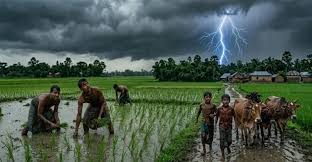 আড়াইহাজারে বজ্রপাতে কৃষকের মৃত্যু, আহত ২