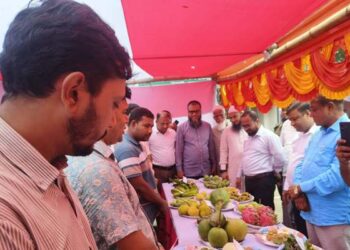 আমতলীতে জাতীয় ফল মেলা অনুষ্ঠিত