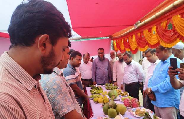 আমতলীতে জাতীয় ফল মেলা অনুষ্ঠিত