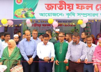 ‘ফল চাষ ও সংরক্ষণে আধুনিক প্রযুক্তি ব্যবহার করতে হবে’: ডিসি