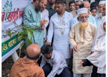 ইসদাইর রাবেয়া হোসেন স্কুলে ‘ওয়ান চাইল্ড ওয়ান ট্রি’ কর্মসূচির বৃক্ষরোপণ উদ্বোধন