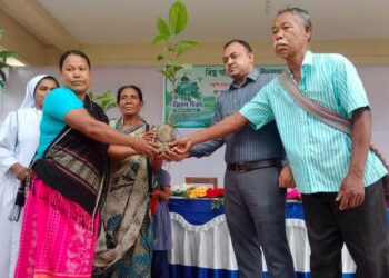 বকশীগঞ্জে বিশ্ব পরিবেশ দিবস উপলক্ষে কারিতাসের উদ্যোগে চারা বিতরণ