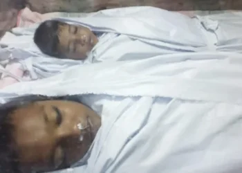 আড়াইহাজারে নানাবাড়িতে বেড়াতে এসে দুই ভাইয়ের করুন মৃত্যু