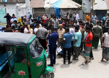 চর সৈয়দপুরে ট্রাকচাপায় ভ্যানচালক  নিহত