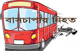 আমতলীতে বাসচাপায় প্রাণ গেল দুলাভাই-শ্যালকের, আহত ১