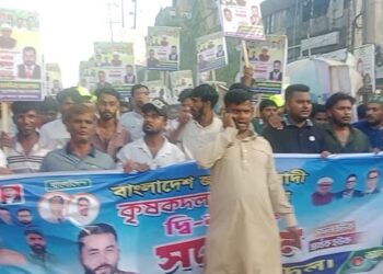ফতুল্লায় কৃষকদলের দ্বি-বার্ষিক সম্মেলনে তানভীর আহমেদের যোগদান