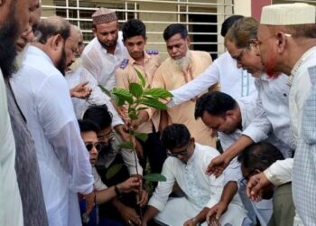 বন্দরে নাগিনা জোহা উচ্চ বিদ্যালয়ে বৃক্ষরোপণ কর্মসূচি